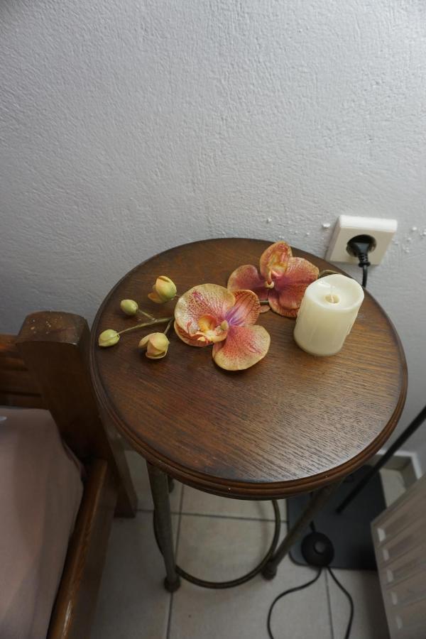 Mara'S Cozy City Apt كاندية المظهر الخارجي الصورة